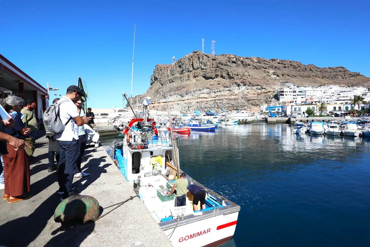 buenamar-canarias-visita-cofradia-pescadores-mogan
