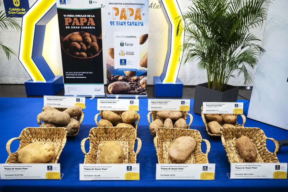 feria-insular-papa-de-gran-canaria-en-teror