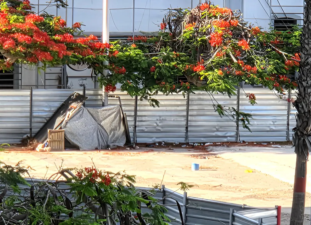 partido-popular-denuncia-infraviviendas-en-solares-abandonados-de-metroguagua