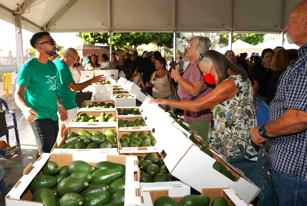 feria-aguacate-mogan-exito-asistencia-y-ventas Feria del Aguacate de Mogan revalida su exito de publico y ventas