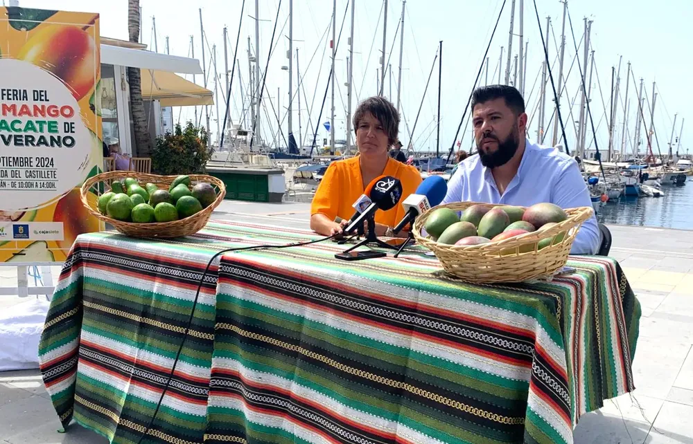 feria-del-mango-y-aguacate-de-verano-mogan