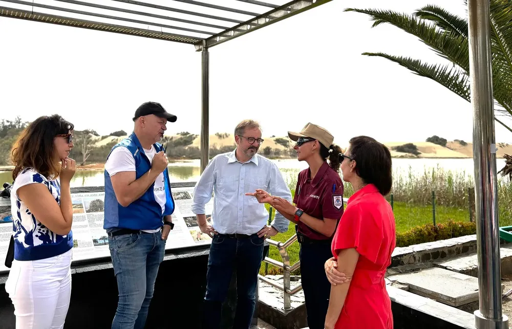 microislas-proyecto-para-proteccion-aves-en-gran-canaria