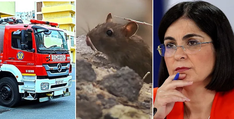 ultimas-noticias-de-gran-canaria