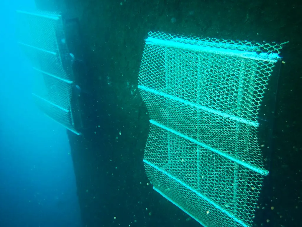 arrecifes-biomimeticos-para-renaturalizar-espacios-marinos-en-puertos-de-las-palmas